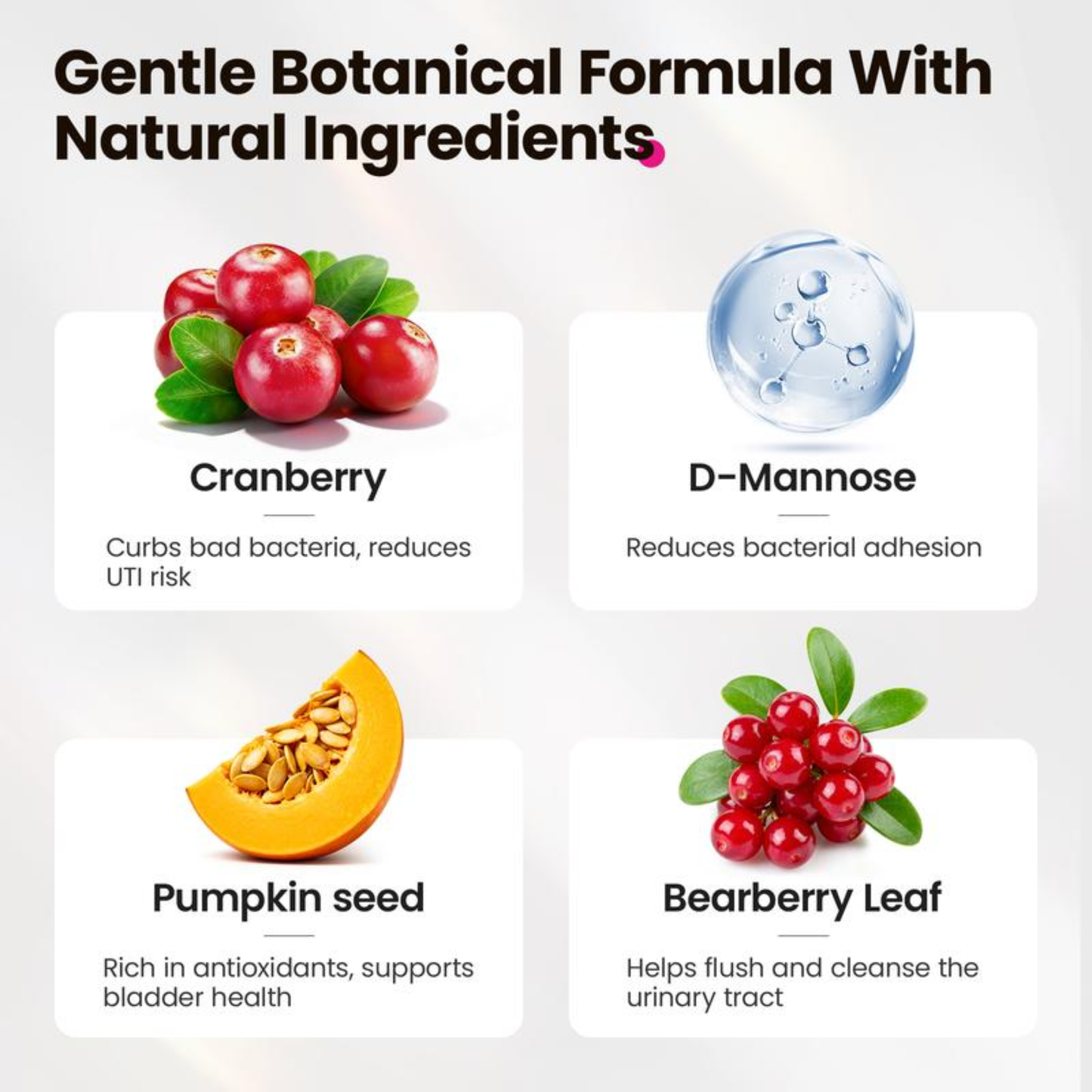 PurrRelief Cat Natural UTI Treatment